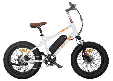 Kids Full Suspension Fat Tire Electric Bike Lithium Battery 7 Speed Gear