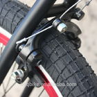 Entry Level BMX Freestyel Bikes , Mens Trick Bikes High Durability