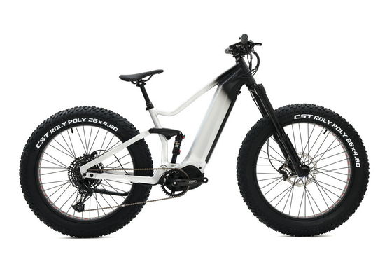 Alloy Suspension Frame Fat Tire Bike , Pedal Assist Fat Bike Mid Drive Motor
